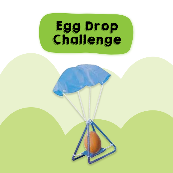 Egg Drop Challenge